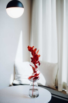 Minimalist interior design of Drei Kaffeebar in Frankfurt with natural materials and natural lighting before matter, architecture & interior design studio Frankfurt am Main